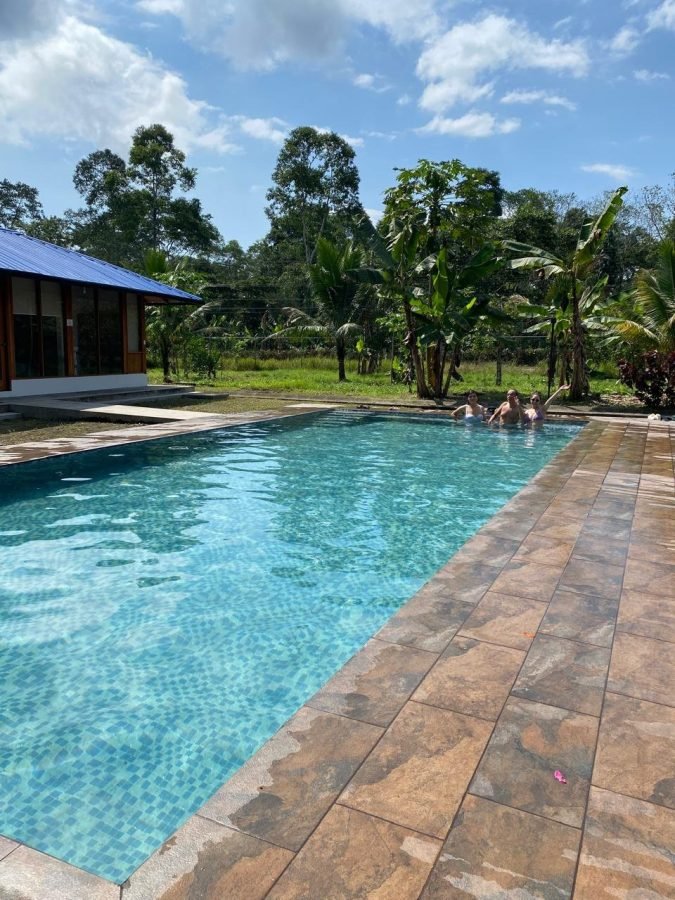 Ayahuasca · Foto 4