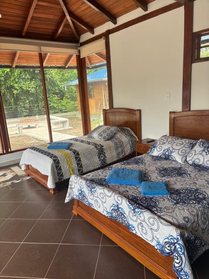 Guayusa · Foto 3